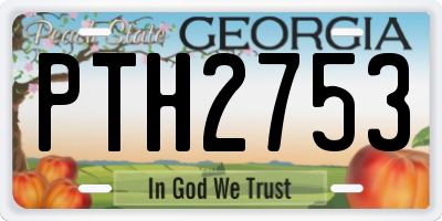 GA license plate PTH2753