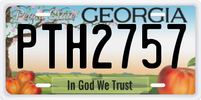 GA license plate PTH2757