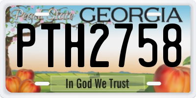GA license plate PTH2758