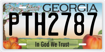 GA license plate PTH2787