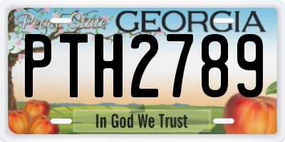 GA license plate PTH2789