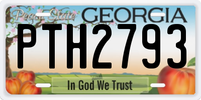 GA license plate PTH2793