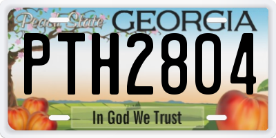 GA license plate PTH2804