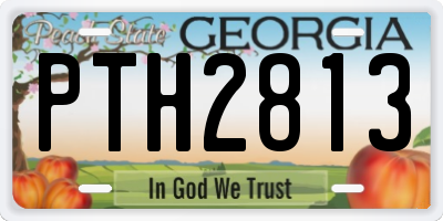 GA license plate PTH2813