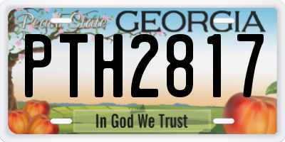 GA license plate PTH2817