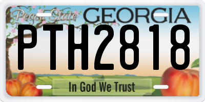 GA license plate PTH2818