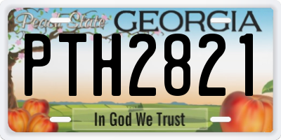 GA license plate PTH2821