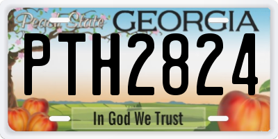 GA license plate PTH2824