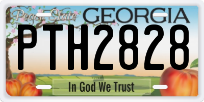 GA license plate PTH2828