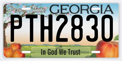GA license plate PTH2830