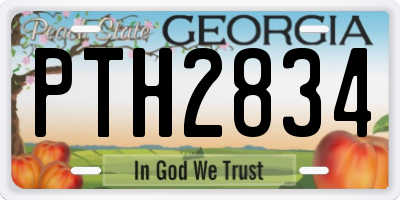GA license plate PTH2834