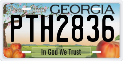 GA license plate PTH2836