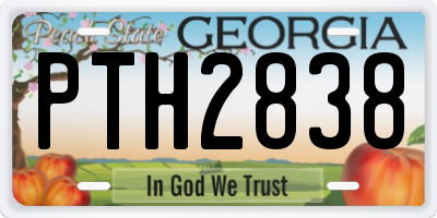 GA license plate PTH2838