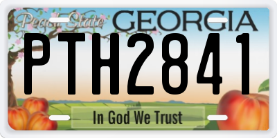 GA license plate PTH2841