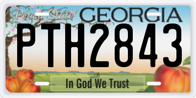 GA license plate PTH2843