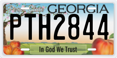 GA license plate PTH2844