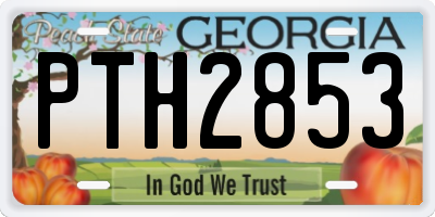 GA license plate PTH2853