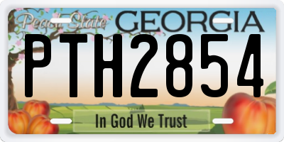 GA license plate PTH2854