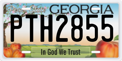 GA license plate PTH2855