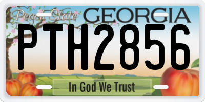 GA license plate PTH2856