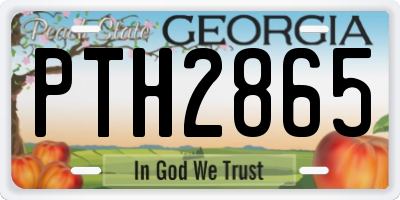 GA license plate PTH2865