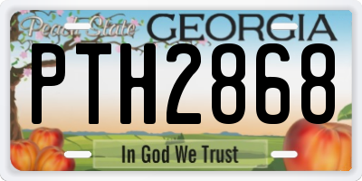 GA license plate PTH2868