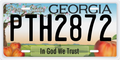 GA license plate PTH2872