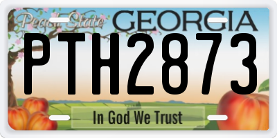 GA license plate PTH2873