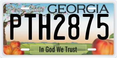 GA license plate PTH2875