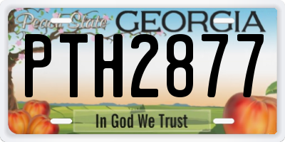 GA license plate PTH2877