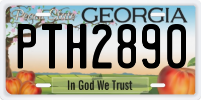 GA license plate PTH2890