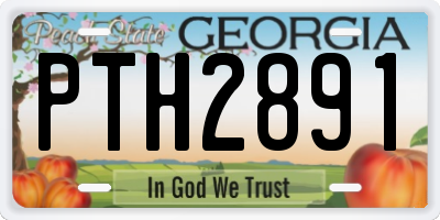 GA license plate PTH2891