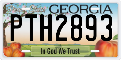GA license plate PTH2893