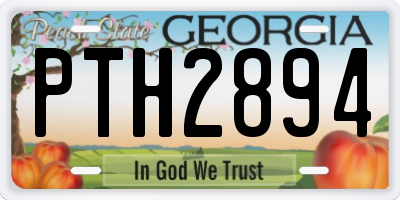 GA license plate PTH2894