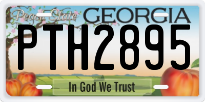 GA license plate PTH2895