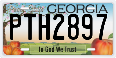 GA license plate PTH2897