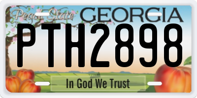 GA license plate PTH2898