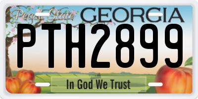 GA license plate PTH2899