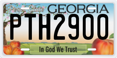 GA license plate PTH2900