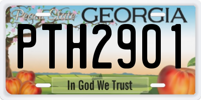 GA license plate PTH2901