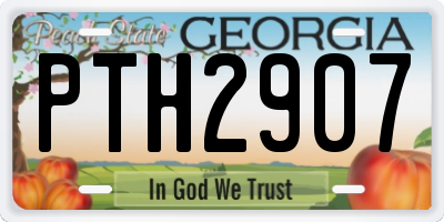 GA license plate PTH2907