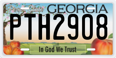GA license plate PTH2908