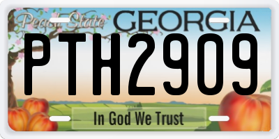 GA license plate PTH2909