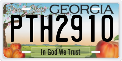 GA license plate PTH2910