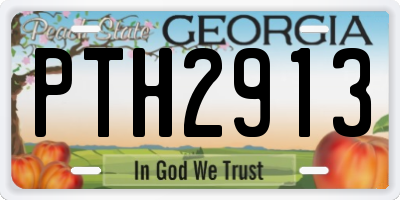 GA license plate PTH2913