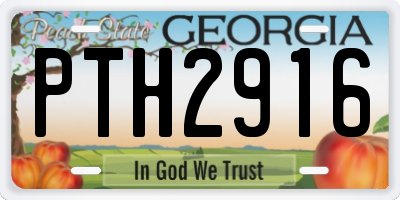 GA license plate PTH2916