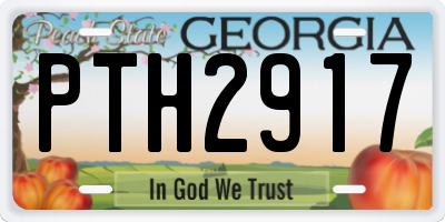 GA license plate PTH2917