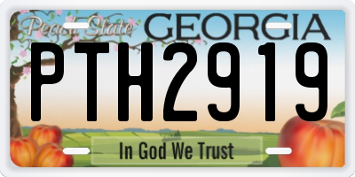 GA license plate PTH2919
