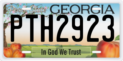 GA license plate PTH2923