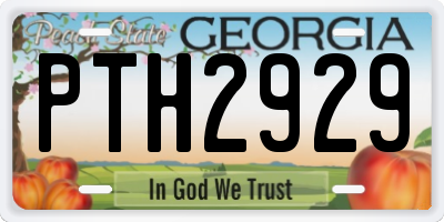 GA license plate PTH2929